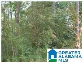 Seasonal Waterfront Residential Land