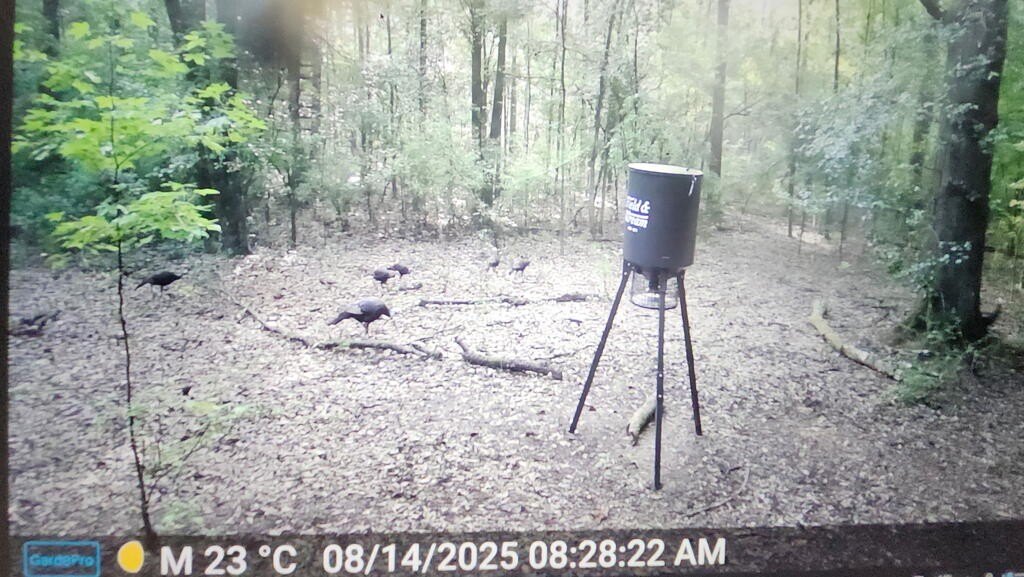 Picture 16