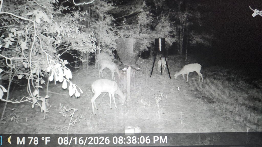 Picture 15