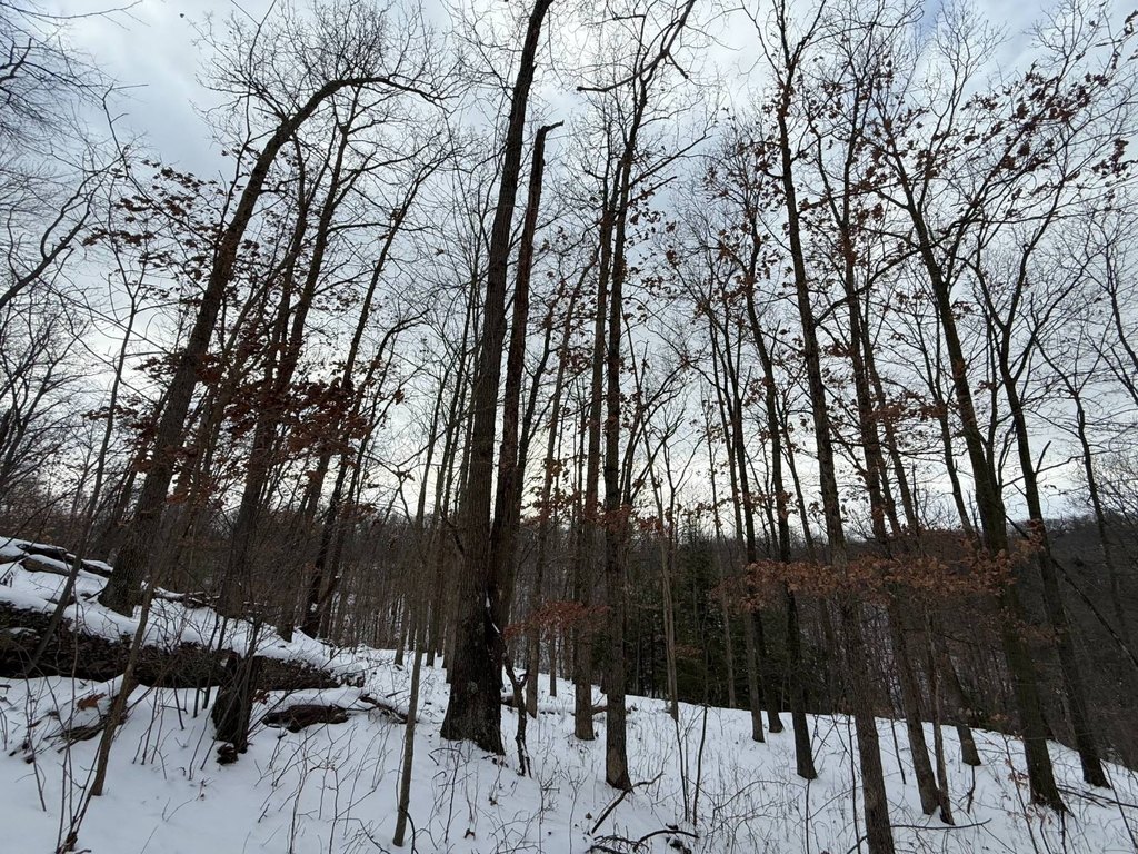 Picture 17
