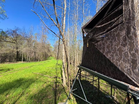 Hardwood Timber Hunting Tract