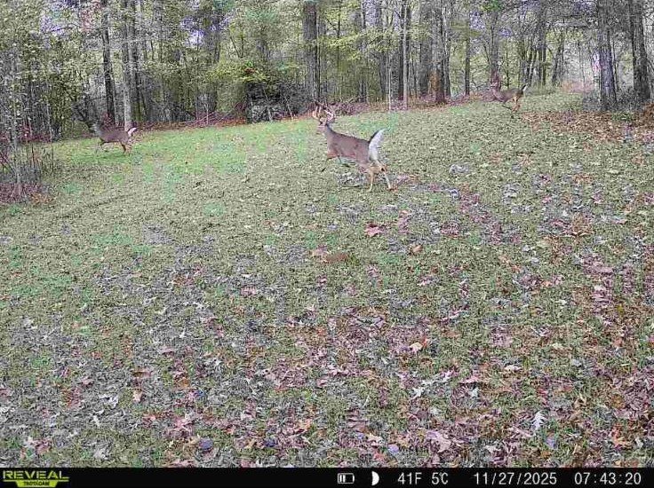 Picture 19