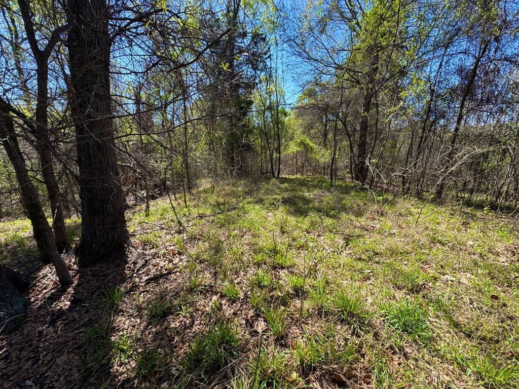 Picture 25