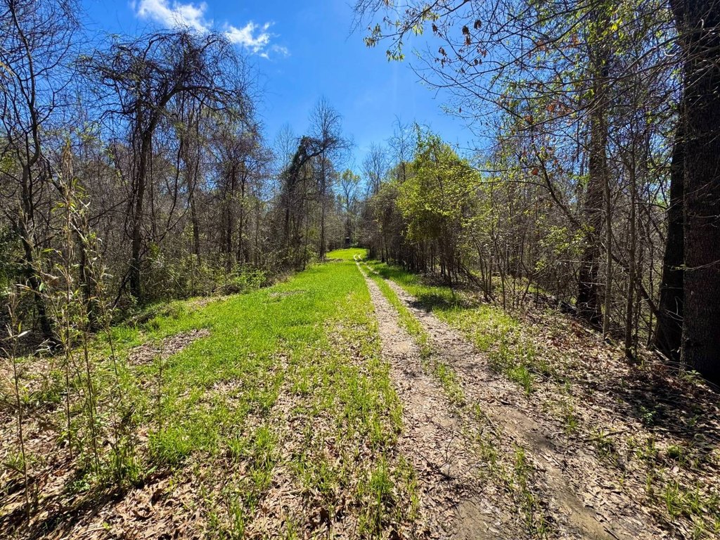 Picture 14