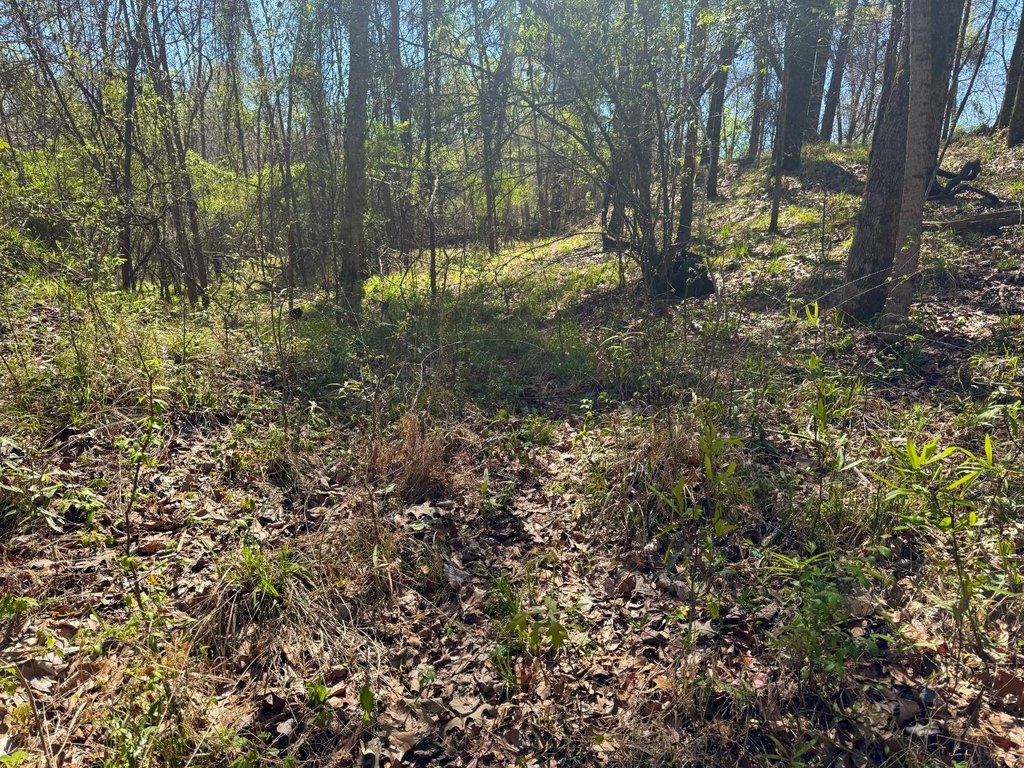 Picture 24