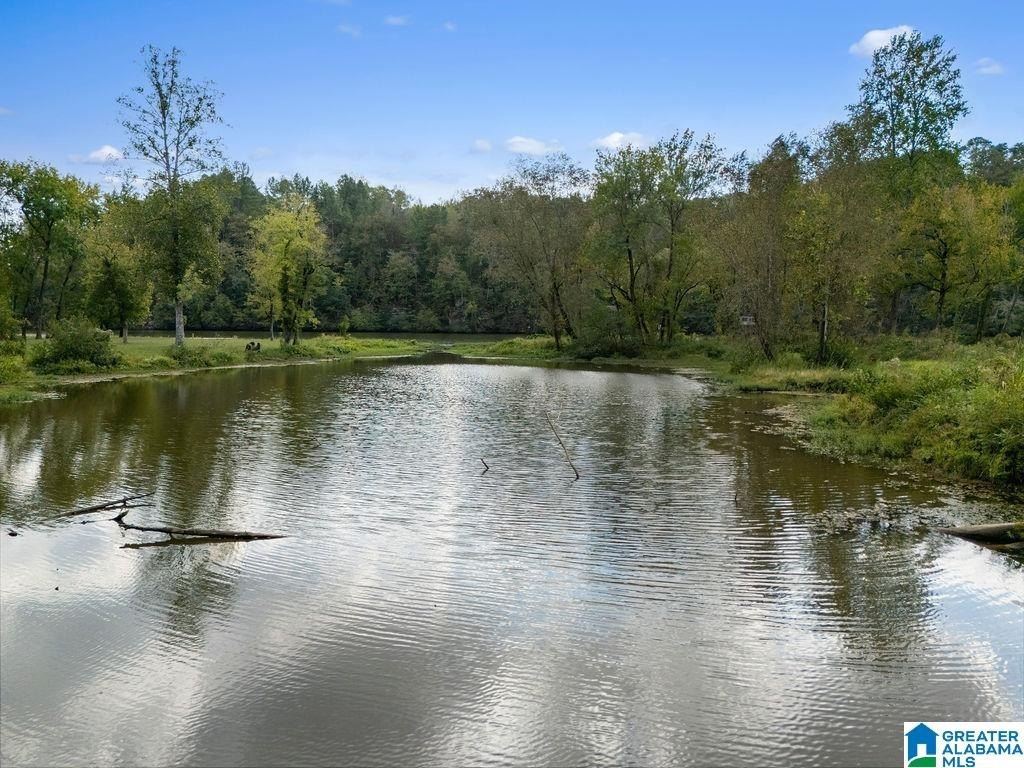Picture 23