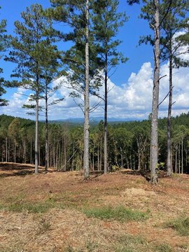 LAND - Ellijay, GA
