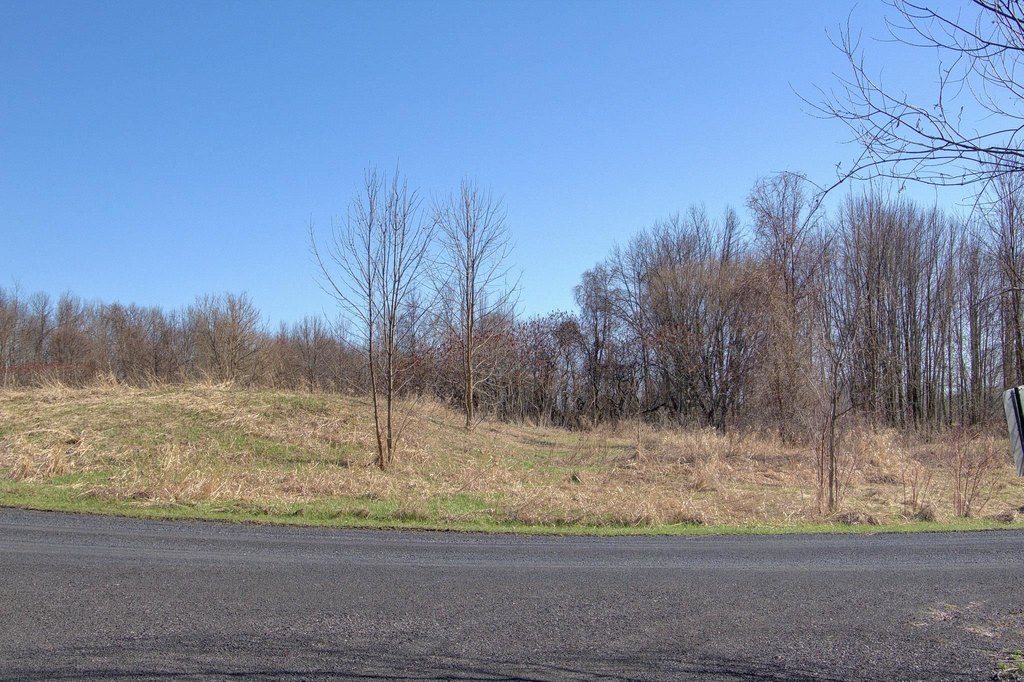 Picture 15