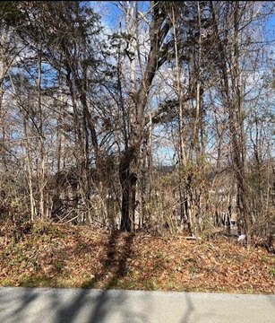 Residential Land in Bean Station