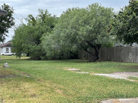 Land, Kingsville, TX