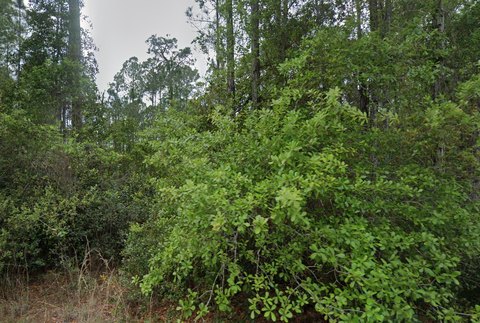LAND - Georgetown, FL