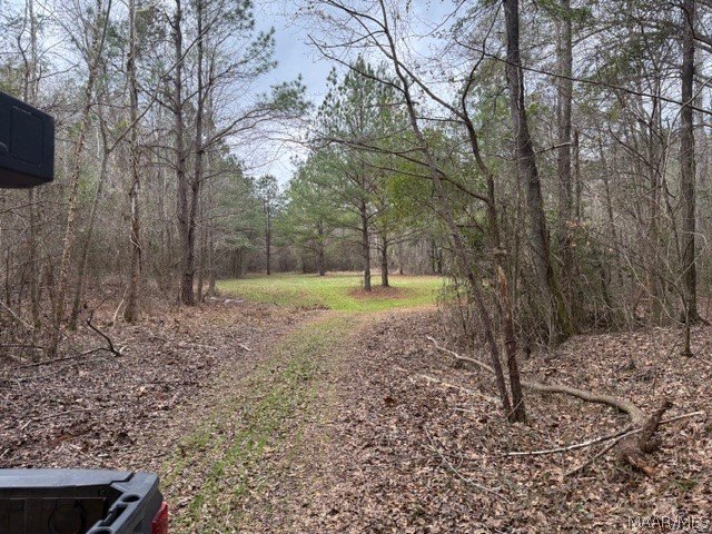 Prime Recreational and Investment Land