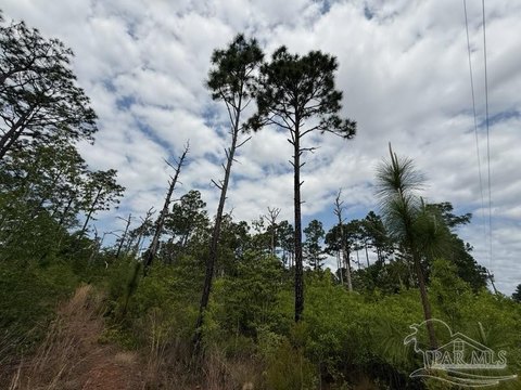 Land, Milton, FL