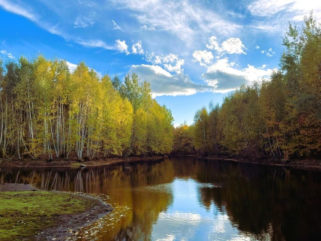 Picture 30