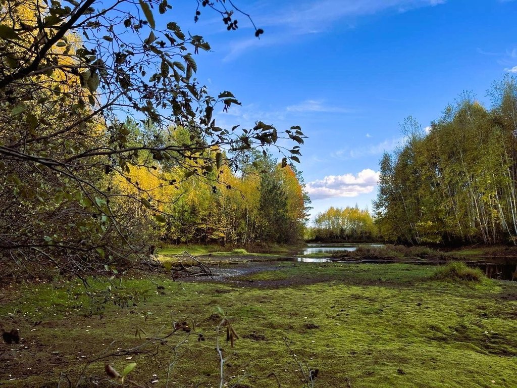 Picture 29