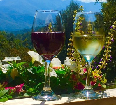 Boutique Winery with Mountain Views