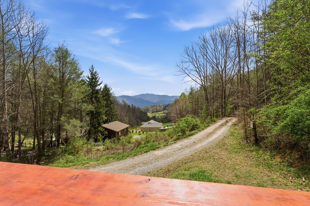 Picture 20