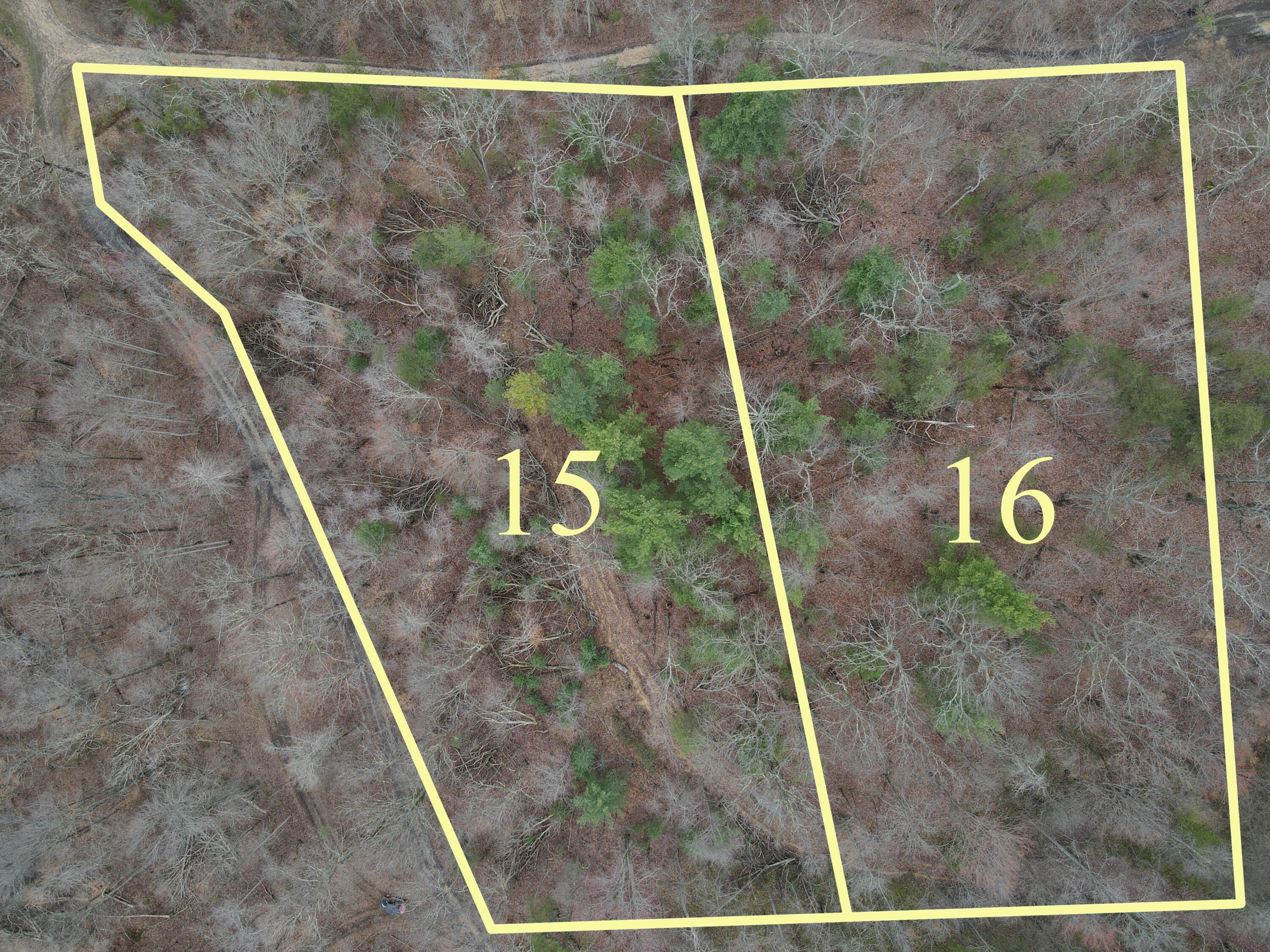 Land Near Red River Gorge