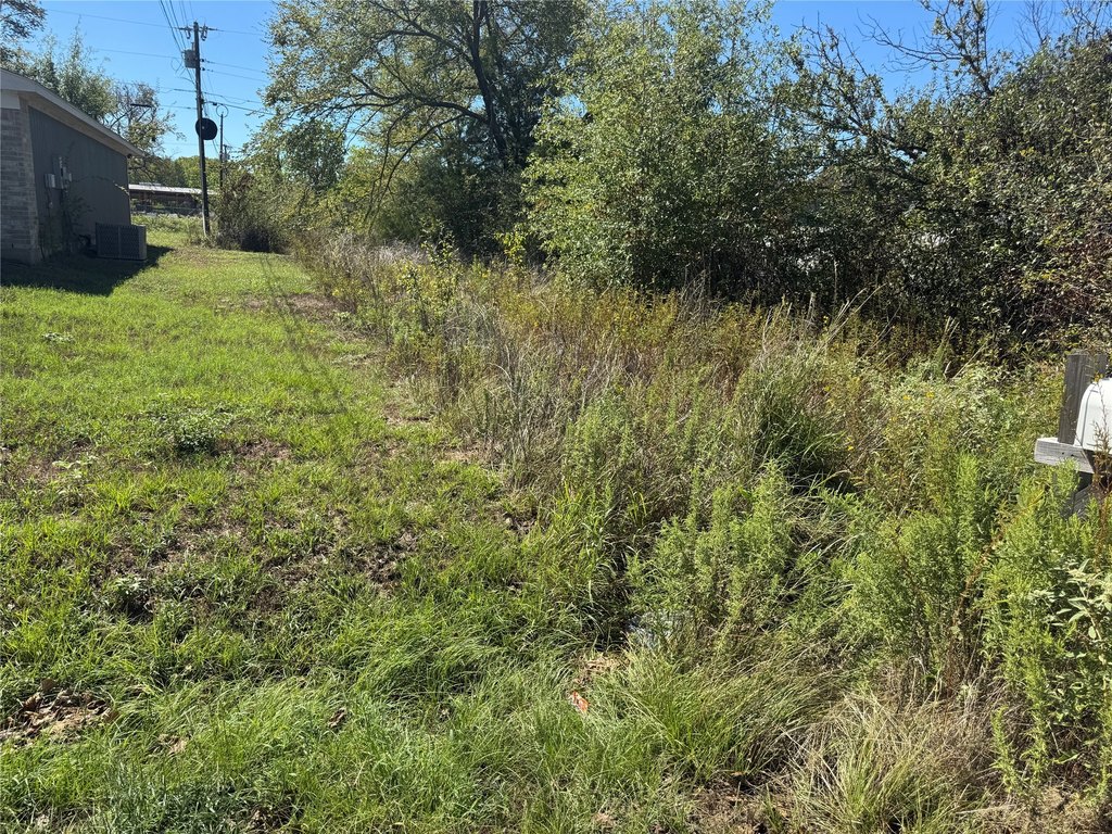 Picture 5