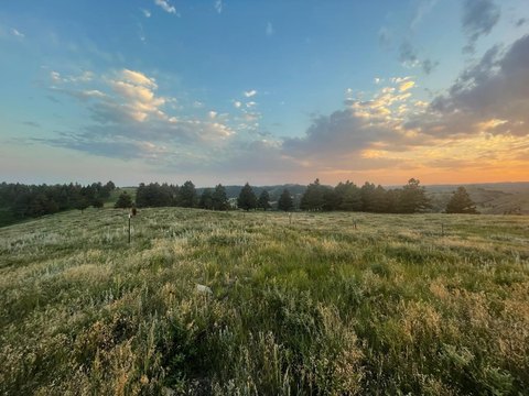 Picturesque Land in Black Hills
