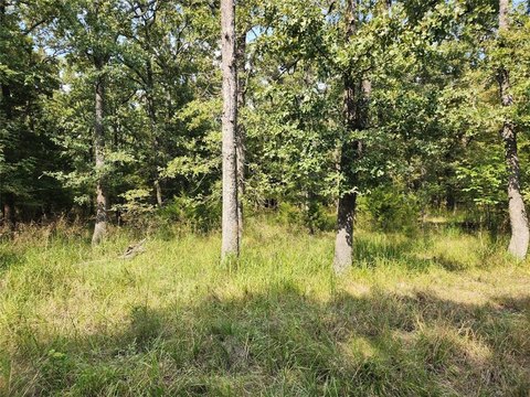 Wooded Lot Near Lake Tawakoni