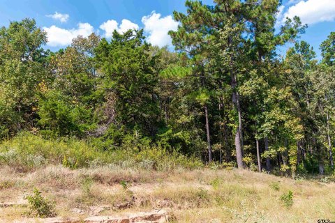 Recreational Acreage with Creek