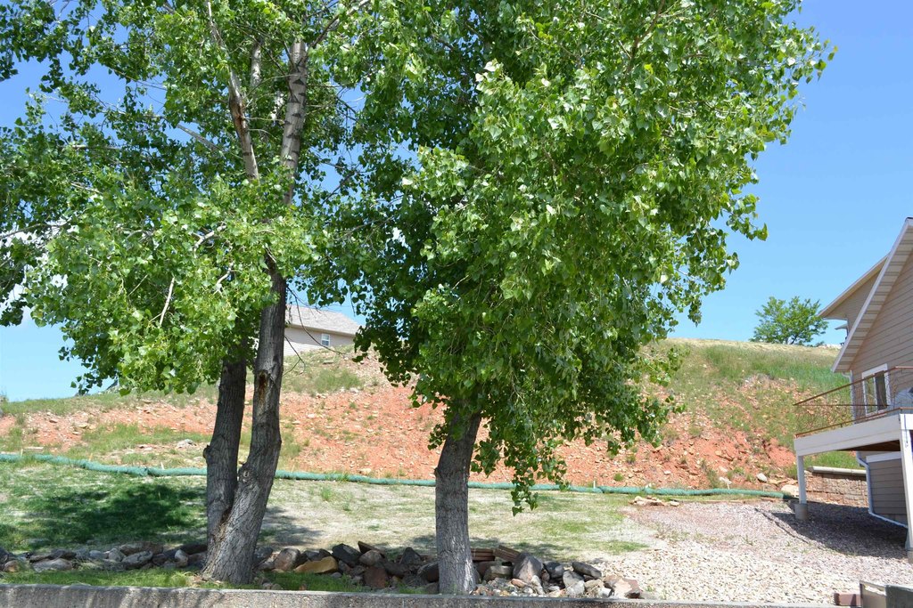 Picture 8