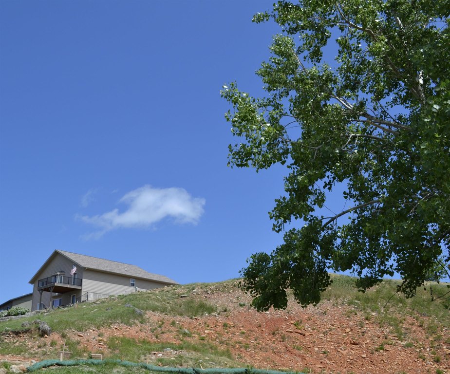 Picture 11