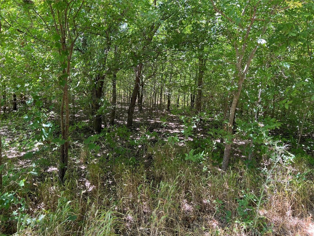 Picture 4