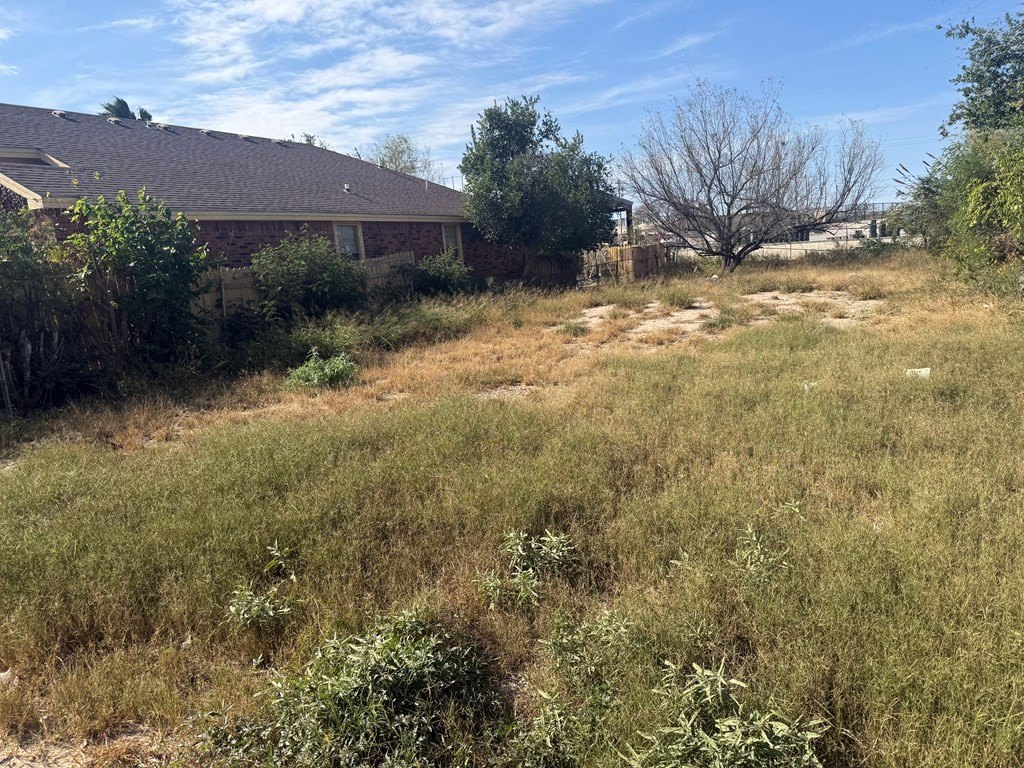 Picture 10