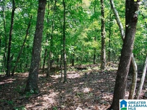 LAND/LOTS, TALLADEGA, AL
