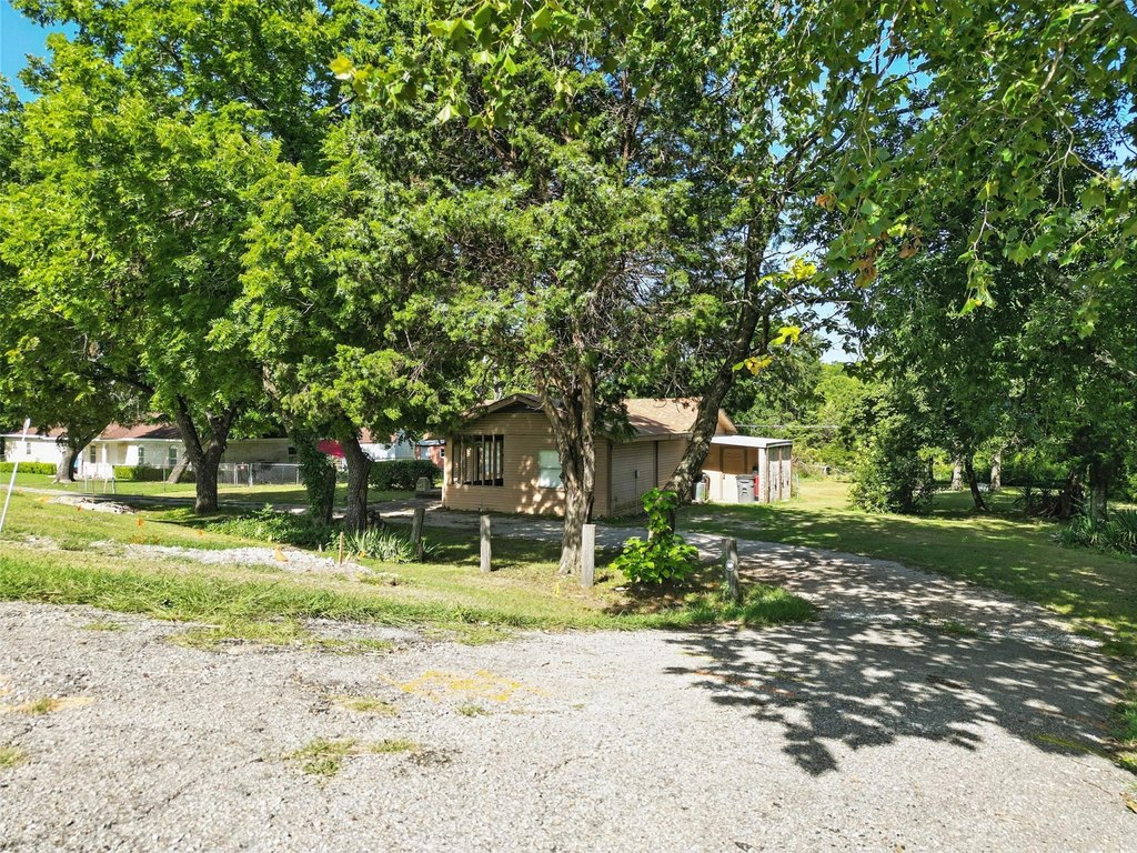 Picture 4