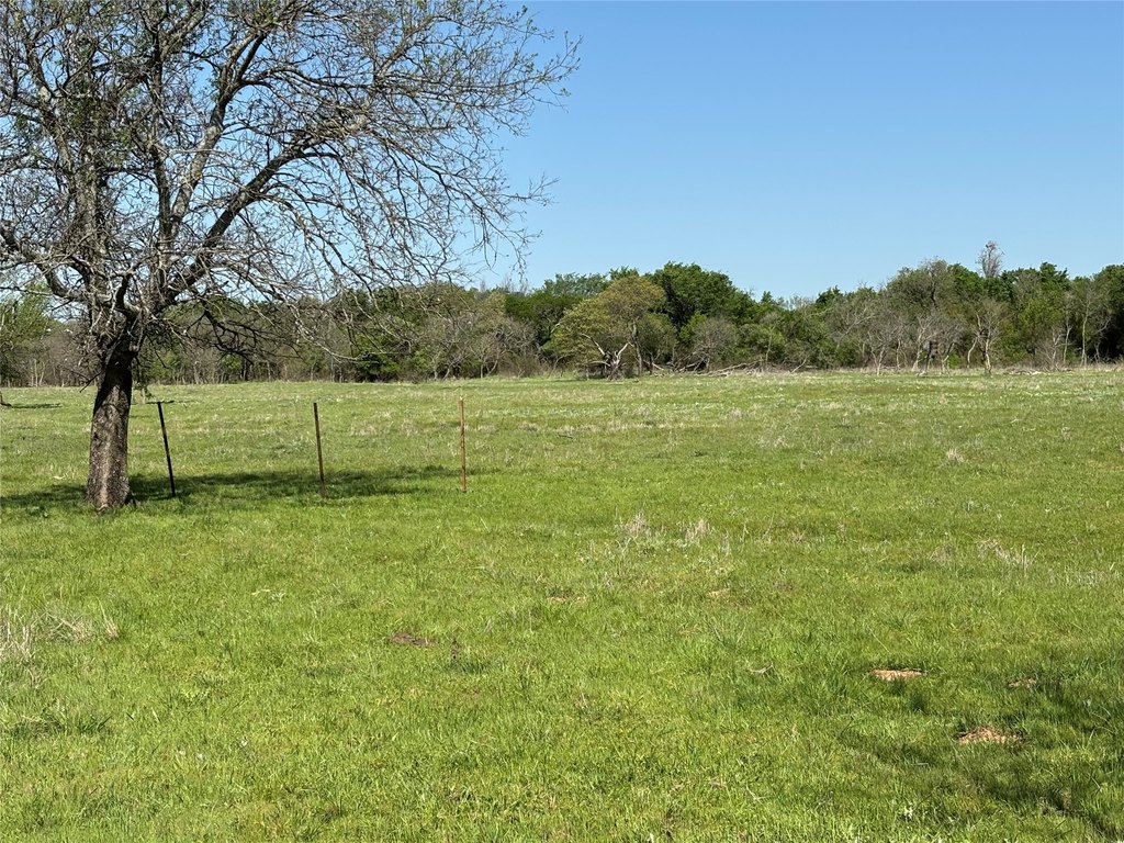 Picture 10