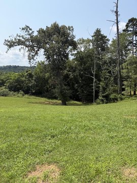 Waterfront Residential Lot