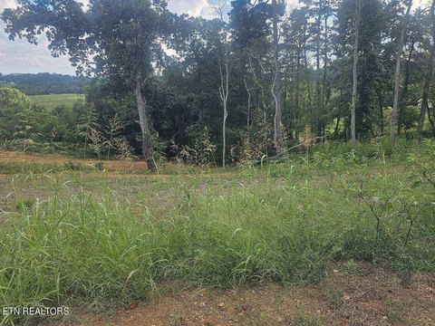 Waterfront Lot in Gated Community