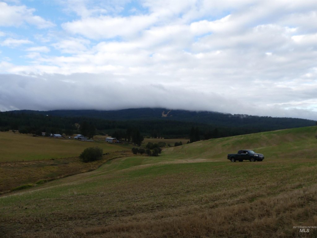 Picture 24