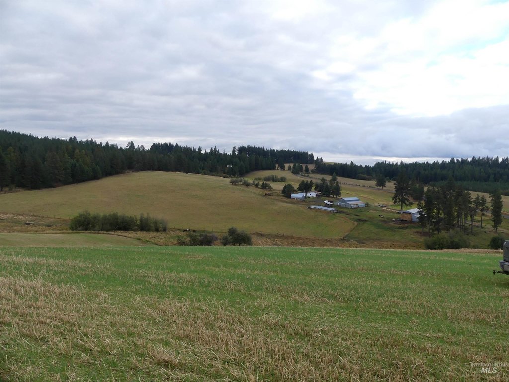 Picture 28