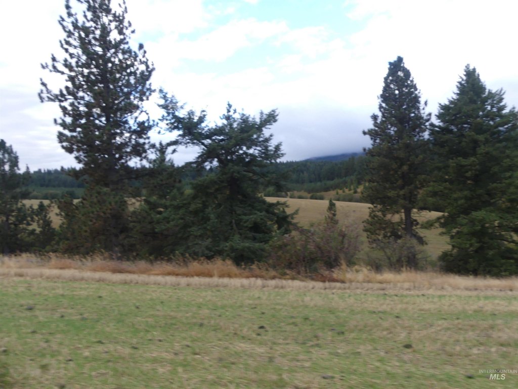 Picture 44