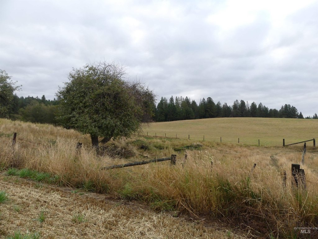 Picture 10