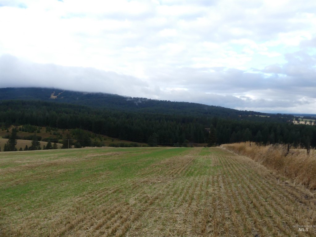 Picture 32