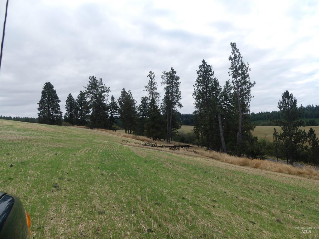 Picture 45