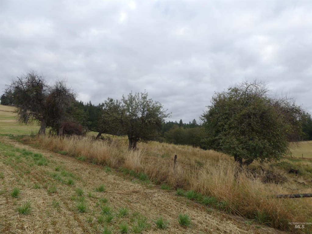Picture 11