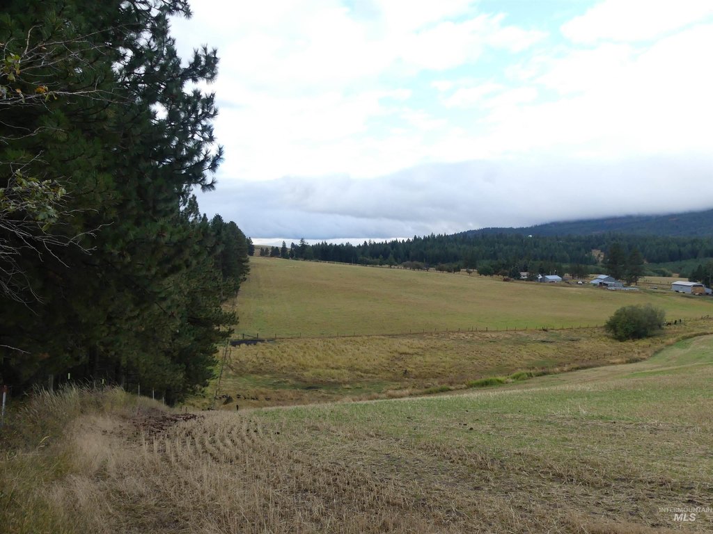 Picture 22