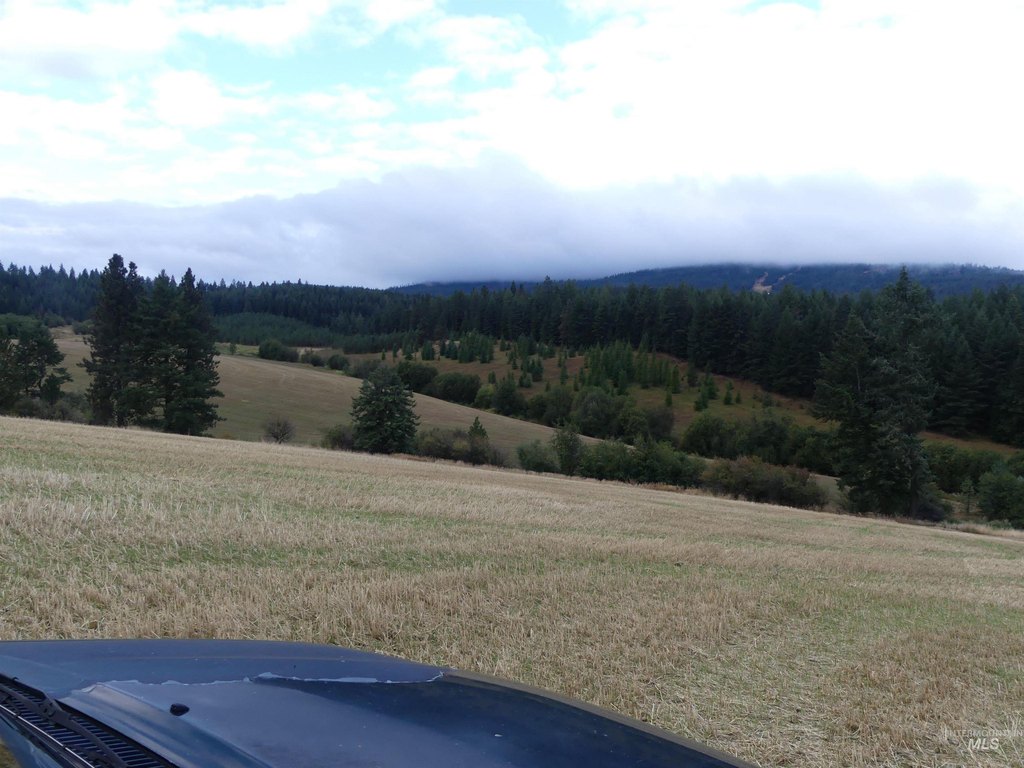 Picture 43