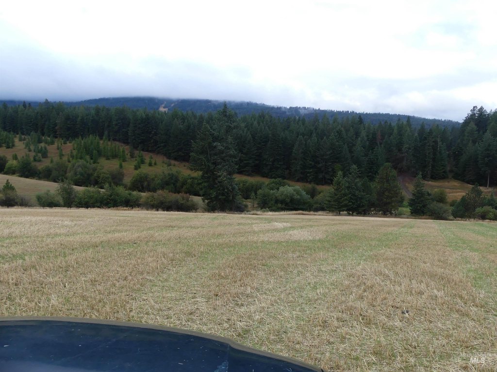 Picture 42