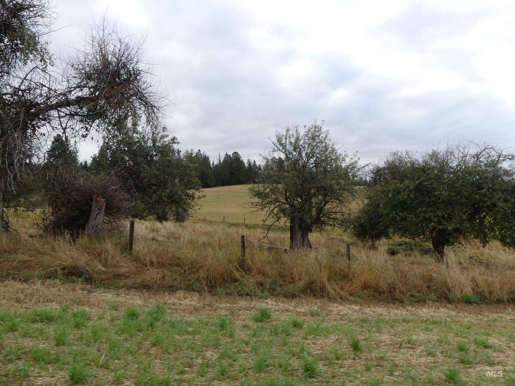 Picture 13