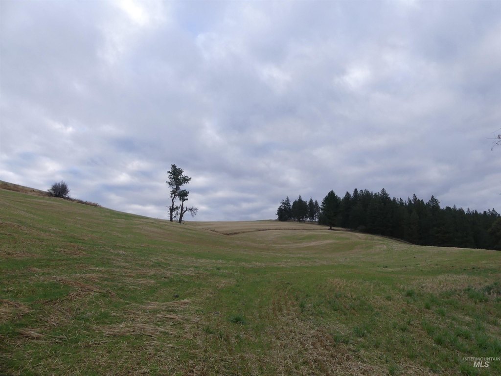 Picture 12