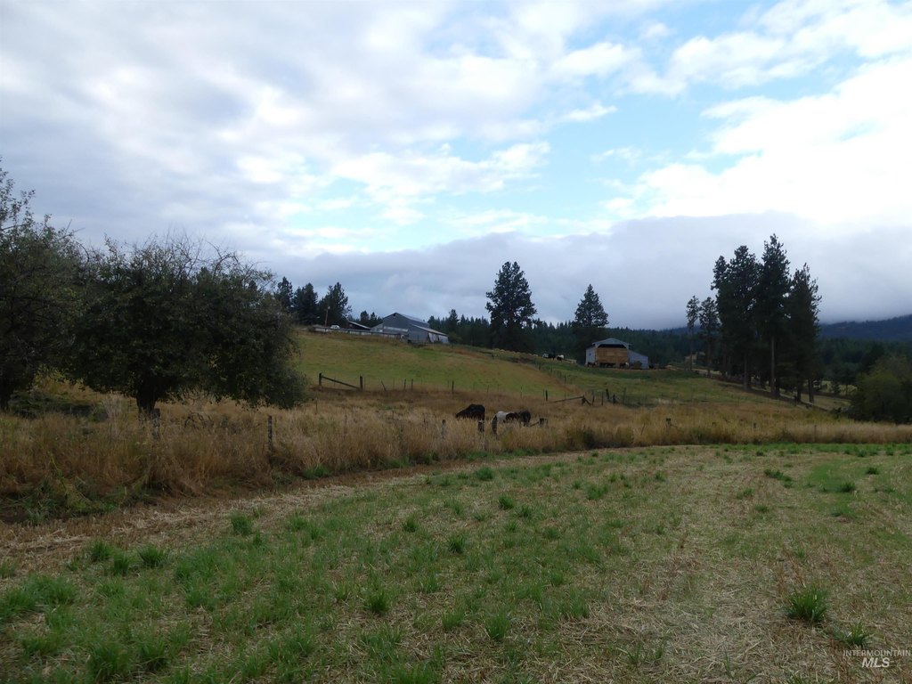 Picture 14