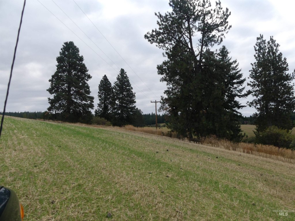 Picture 46