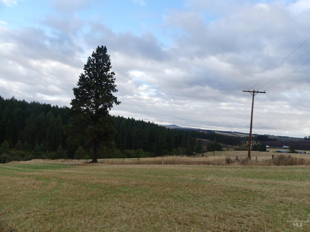 Picture 41